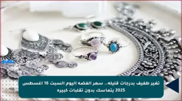 تغير طفيف بدرجات قليلة.. سعر الفضة اليوم السبت 16 أغسطس 2025 يتماسك بدون تقلبات كبيرة